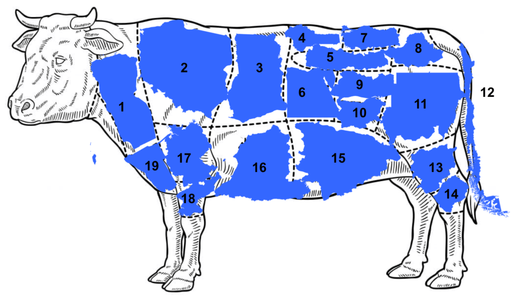The geopolitical border/beef primal anatomy&nbsp;challenge